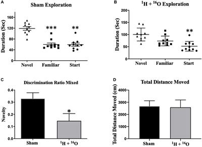 Late Effects of 1H + 16O on Short-Term and Object Memory, Hippocampal Dendritic Morphology and Mutagenesis